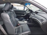 HONDA ACCORD 2.4 EX-L 1HGCS1B89AA012726 снимка