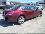 HONDA ACCORD 2.4 EX-L 1HGCP268X9A069093 fotografie