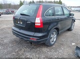 HONDA CR-V LX 5J6RE4H34BL099237 снимка