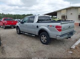 FORD F-150 FX4/KING RANCH/LARIAT/PLATINUM/XL/XLT 1FTPW14V89FB02990 снимка