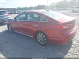 HYUNDAI SONATA SPORT 5NPE34AFXGH423771 photo