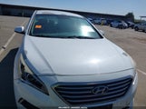 HYUNDAI SONATA 5NPE24AF6HH565572 снимка