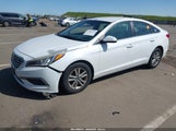 HYUNDAI SONATA 5NPE24AF6HH565572 снимка