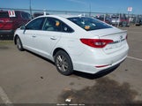 HYUNDAI SONATA 5NPE24AF6HH565572 снимка