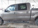 FORD F-150 60TH ANNIVERSARY/FX2/XL/XLT 1FTRW12W98KB71147 снимка