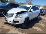 CADILLAC SRX PERFORMANCE COLLECTION 3GYFNCE38ES675508 fotografie
