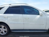 MERCEDES-BENZ ML 350 4JGBB5GBXAA591503 снимка
