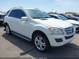 MERCEDES-BENZ ML 350 4JGBB5GBXAA591503 снимка