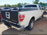 FORD F-150 XLT 1FTFX1CF3DKF37810 снимка