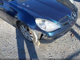 MERCEDES-BENZ SLK 350 WDBWK56F55F040655 fotografie