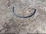 DODGE DURANGO R/T AWD 1C4SDJCT3MC786423 снимка