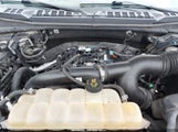Ford F-150 Xlt 1FTEW1EPXKFA34012 снимка