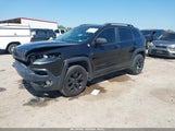 JEEP CHEROKEE TRAILHAWK 1C4PJMBS5FW524879 снимка