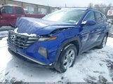 HYUNDAI TUCSON SEL 5NMJBCAE5NH086584 снимка