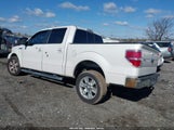 Ford F150 Supercrew 1FTFW1CV5AFD08480 снимка