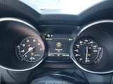 ALFA ROMEO STELVIO TI AWD ZASPAKBN4N7D46736 photo