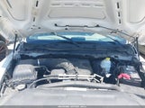 DODGE RAM 1500 SLT/SPORT/TRX 1D3HB13T89S705386 fotografie