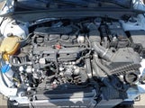 KIA K5 GT-LINE 5XXG64J25RG265447 photo