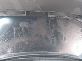 BMW X5 SDRIVE40I 5UXCR4C01M9D77686 снимка