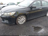 HONDA ACCORD EX-L 1HGCR2F84EA281721 снимка