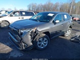 TOYOTA RAV4 LE 2T3G1RFV6PW334896 снимка
