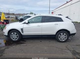 CADILLAC SRX LUXURY COLLECTION 3GYFNBE33GS507014 снимка