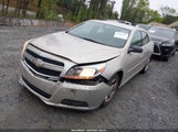 CHEVROLET MALIBU 1FL 1G11A5SAXDF316098 снимка