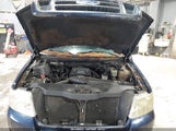 FORD F-150 FX4/XLT 1FTPX04545KE70835 снимка