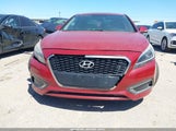 HYUNDAI SONATA HYBRID LIMITED KMHE34L13GA020123 fotografie