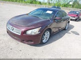NISSAN MAXIMA 3.5 S/3.5 SV 1N4AA5AP1EC465683 снимка