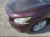 NISSAN MAXIMA 3.5 S/3.5 SV 1N4AA5AP1EC465683 снимка