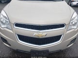 CHEVROLET EQUINOX 1LT 2CNFLEEC4B6227957 fotografie