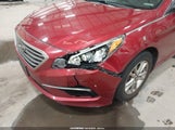 HYUNDAI SONATA 5NPE24AF4GH398336 снимка