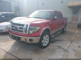 FORD F-150 FX4/HARLEY-DAVIDSON/KING RANCH/LARIAT/PLATINUM/XL/XLT 1FTFW1EV9AFB45748 fotografie