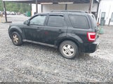 FORD ESCAPE XLT 1FMCU0DG2AKB66255 снимка