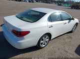 LEXUS ES 330 JTHBA30G655139482 снимка