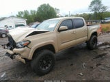 TOYOTA TACOMA SR5 V6 5TFAZ5CN2HX045801 photo