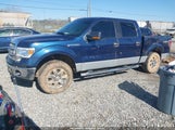 FORD F-150 XLT 1FTFW1ET9DFB05625 снимка