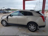 CADILLAC SRX LUXURY COLLECTION 3GYFNAEY9BS519313 снимка