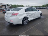 ACURA TL TECH 19UUA8F58DA010325 fotografie