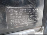 HYUNDAI SANTA FE KM8SB12B24U806889 снимка