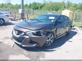 NISSAN MAXIMA 3.5 PLATINUM/3.5 S/3.5 SL/3.5 SR/3.5 SV 1N4AA6AP8GC411225 fotografie