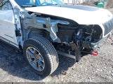 JEEP CHEROKEE TRAILHAWK 4X4 1C4PJMBX0ND545659 снимка