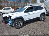 JEEP CHEROKEE TRAILHAWK 4X4 1C4PJMBX0ND545659 снимка