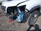 JEEP CHEROKEE TRAILHAWK 4X4 1C4PJMBX0ND545659 снимка