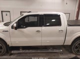 FORD F-150 LIMITED 1FTFW1E64DFD13079 снимка