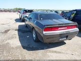 DODGE CHALLENGER SXT 2C3CDYAG9DH724917 снимка