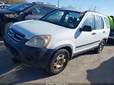 HONDA CR-V LX JHLRD78556C029217 снимка