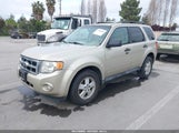 FORD ESCAPE XLT 1FMCU0D75AKD11630 снимка