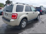 FORD ESCAPE XLT 1FMCU0D75AKD11630 fotografie
